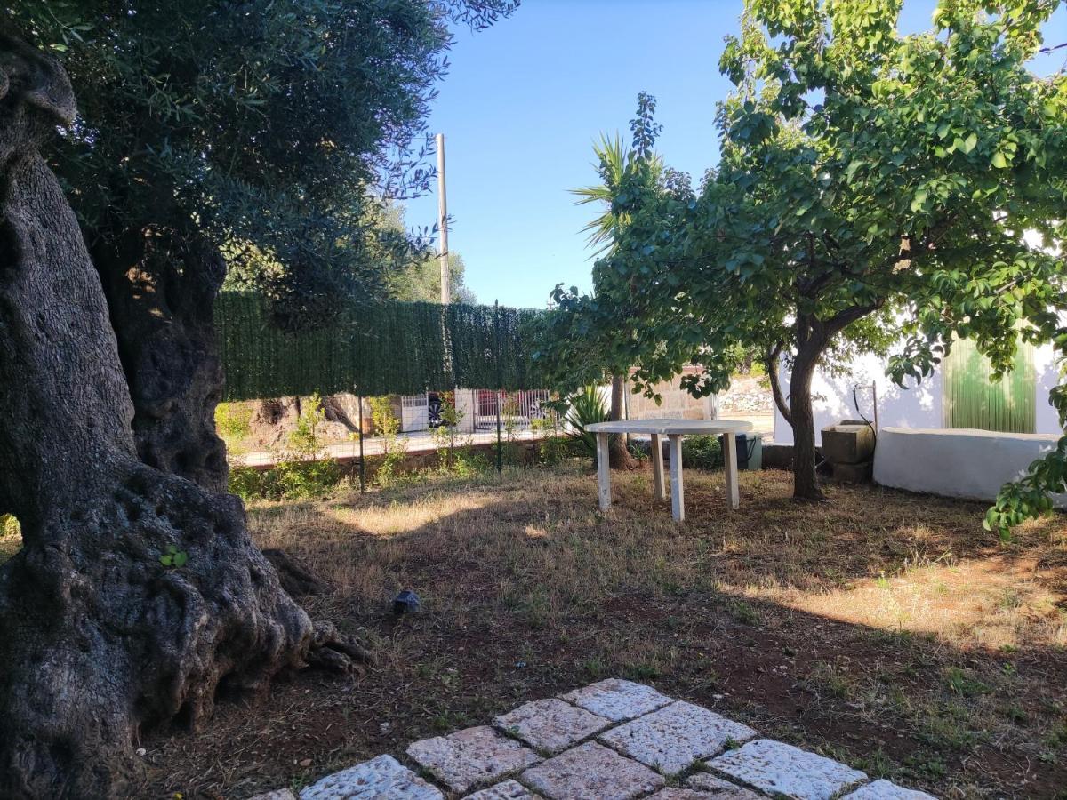 Trullo Sole E Vento Apartamento Carovigno Exterior foto